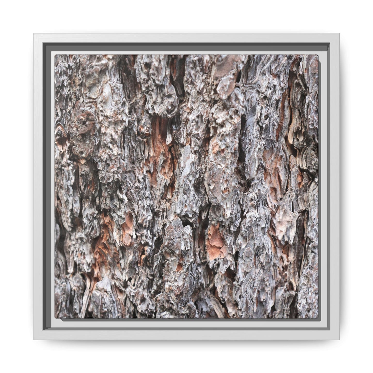 Rugged Cortex - Unique Stretched Canvas Wall Art - Art By Earth