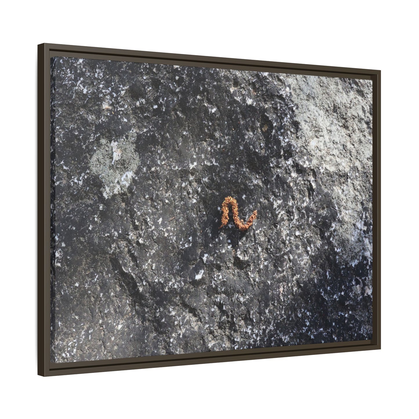 Volcanic Ash and Copper - Unique Stretched Canvas Wall Art - Art By Earth