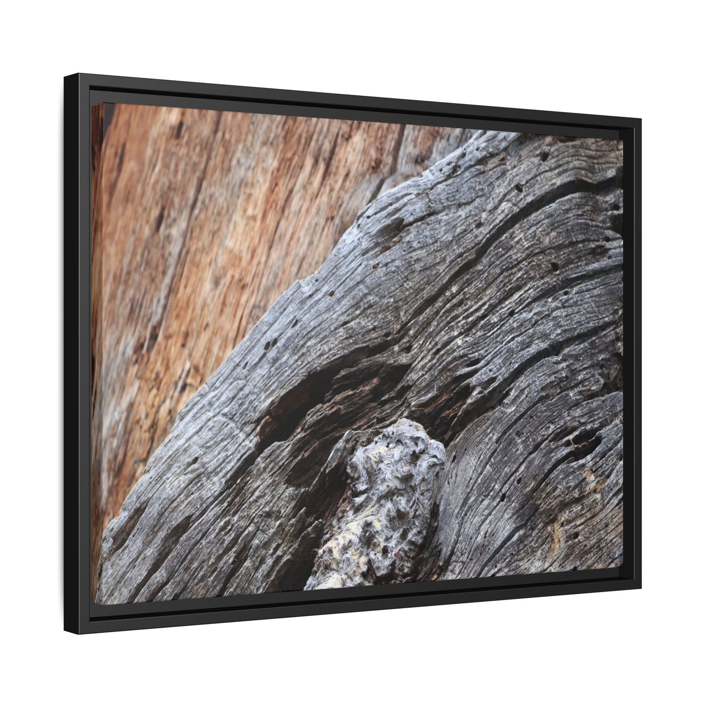 Time's Mark on Timber - Unique Stretched Canvas Wall Art - Art By Earth