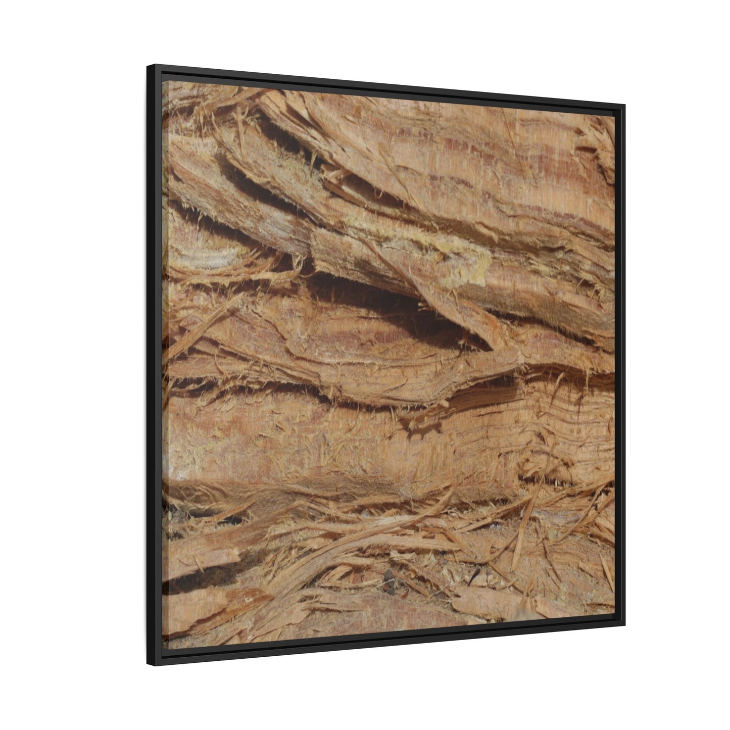 Splintered Bark - Unique Stretched Canvas Wall Art - Art By Earth