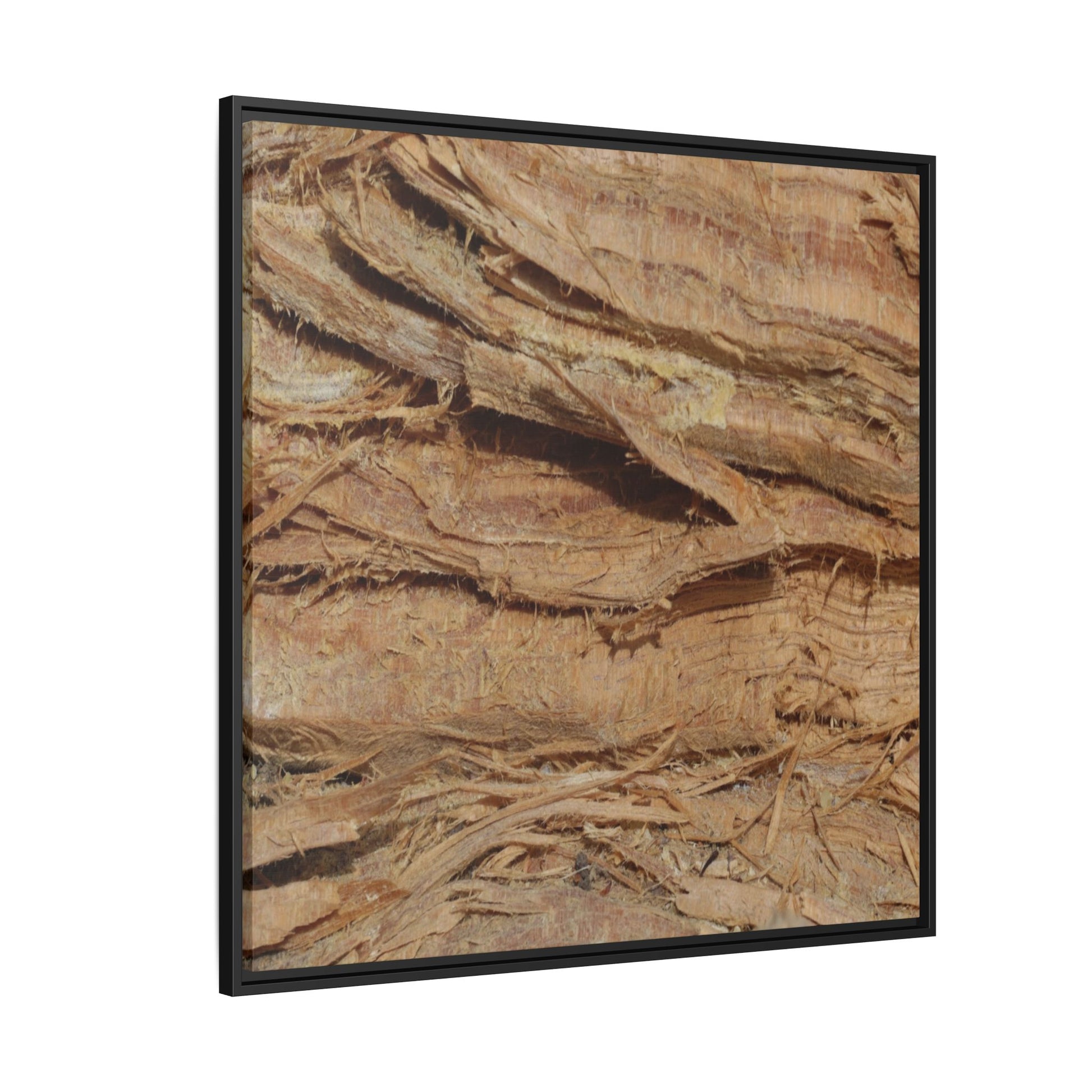 Splintered Bark - Unique Stretched Canvas Wall Art - Art By Earth