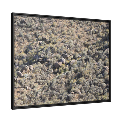 Arid Terrain Study - Unique Stretched Canvas Wall Art - Art By Earth