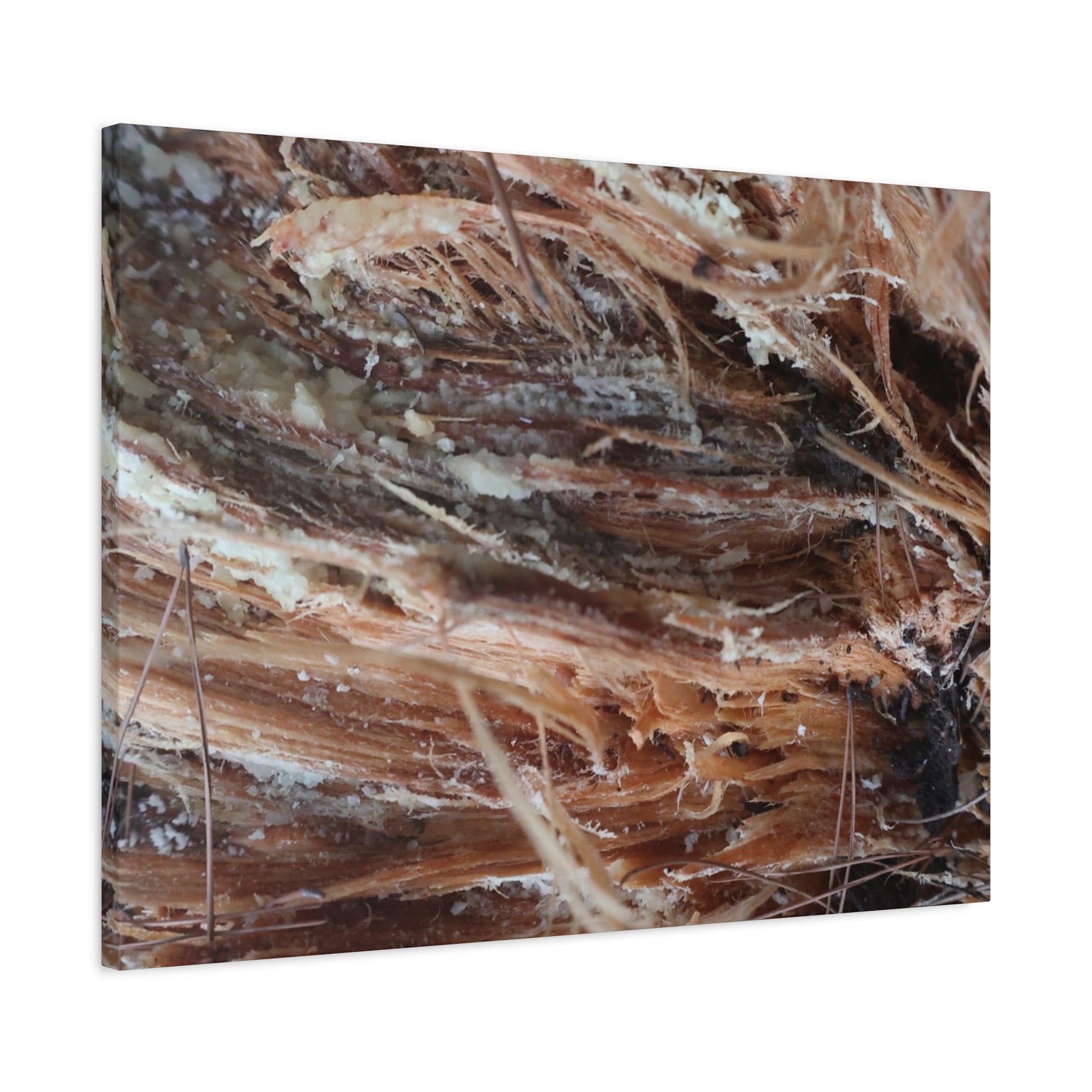 Decaying Whispers - Unique Frameless Canvas Wall Art - Art By Earth