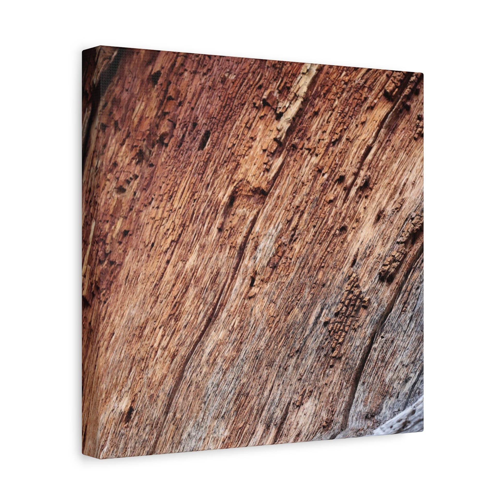 Natural Wood Grain - Unique Frameless Canvas Wall Art - Art By Earth