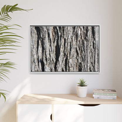 Bark Lines - Unique Stretched Canvas Wall Art - Art By Earth