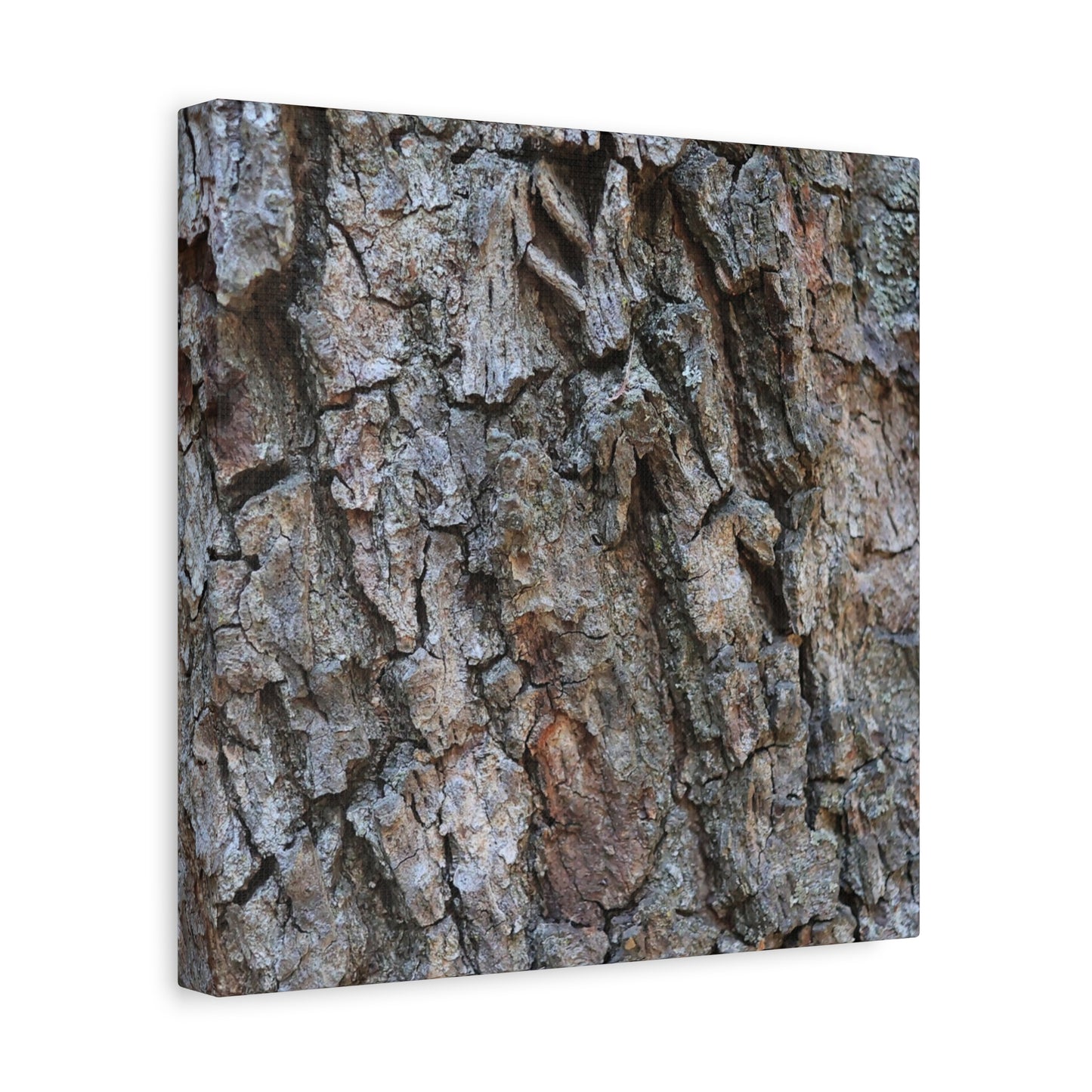 Rugged Canvas - Unique Frameless Canvas Wall Art - Art By Earth