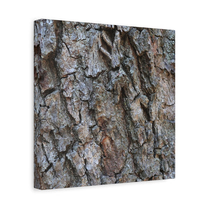 Rugged Canvas - Unique Frameless Canvas Wall Art - Art By Earth