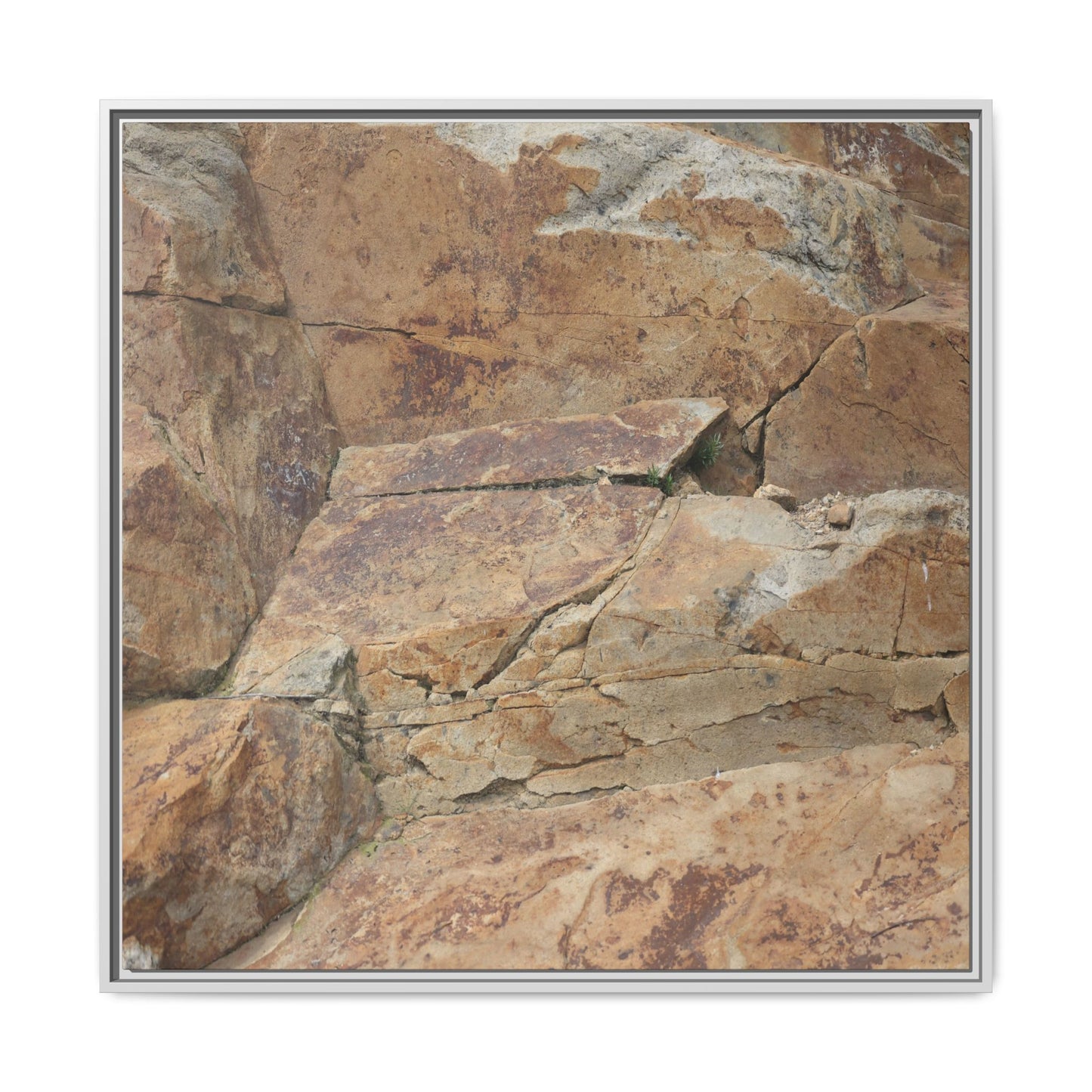 Ancient Foundations - Unique Stretched Canvas Wall Art - Art By Earth