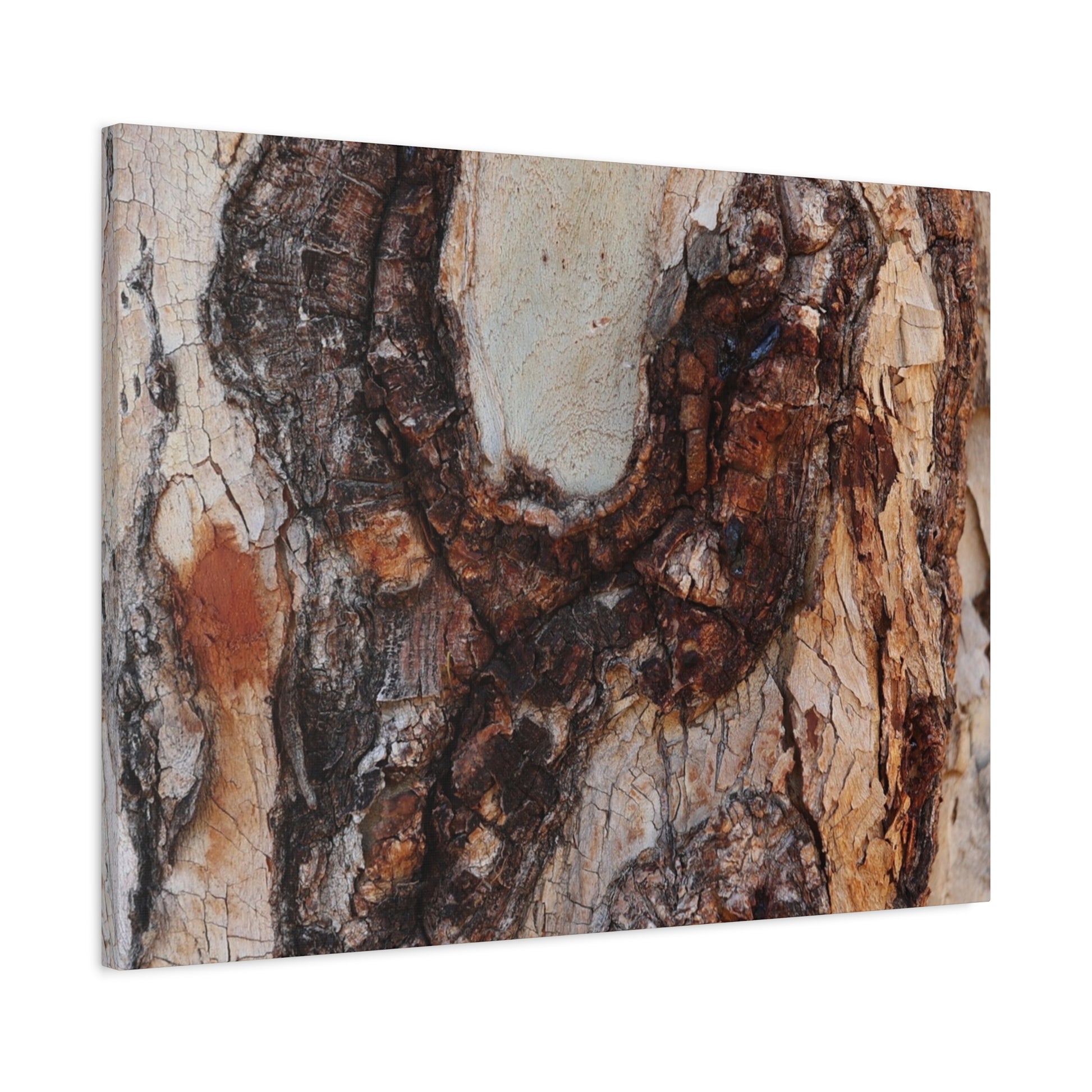 Arboreal Echoes - Unique Frameless Canvas Wall Art - Art By Earth