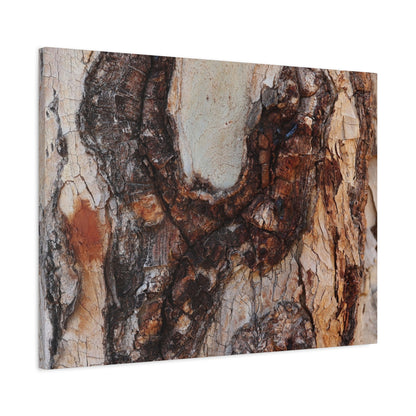 Arboreal Echoes - Unique Frameless Canvas Wall Art - Art By Earth
