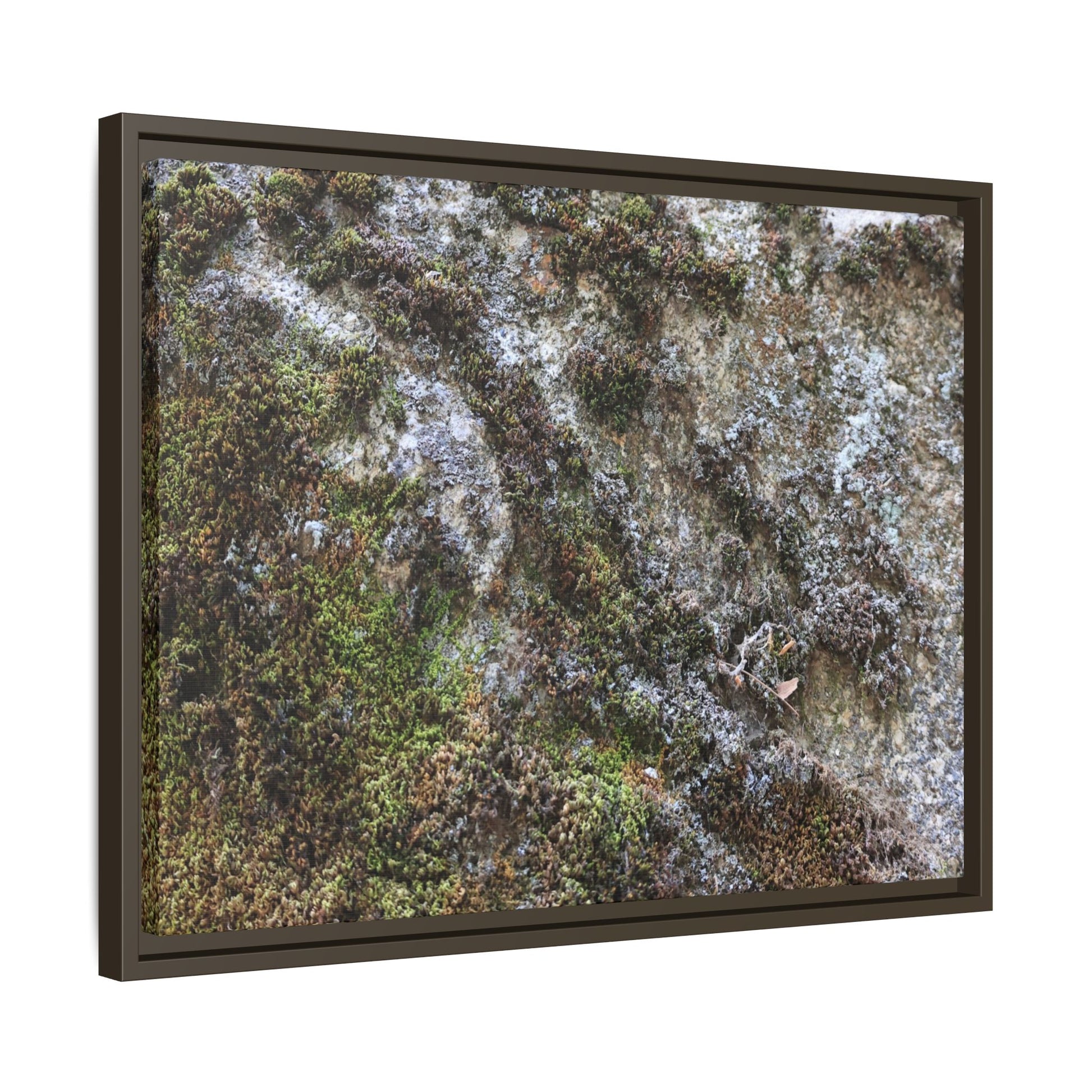 Mossy Whispers - Unique Stretched Canvas Wall Art - Art By Earth