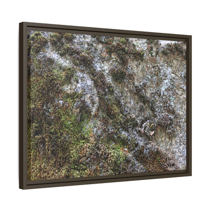 Mossy Whispers - Unique Stretched Canvas Wall Art - Art By Earth