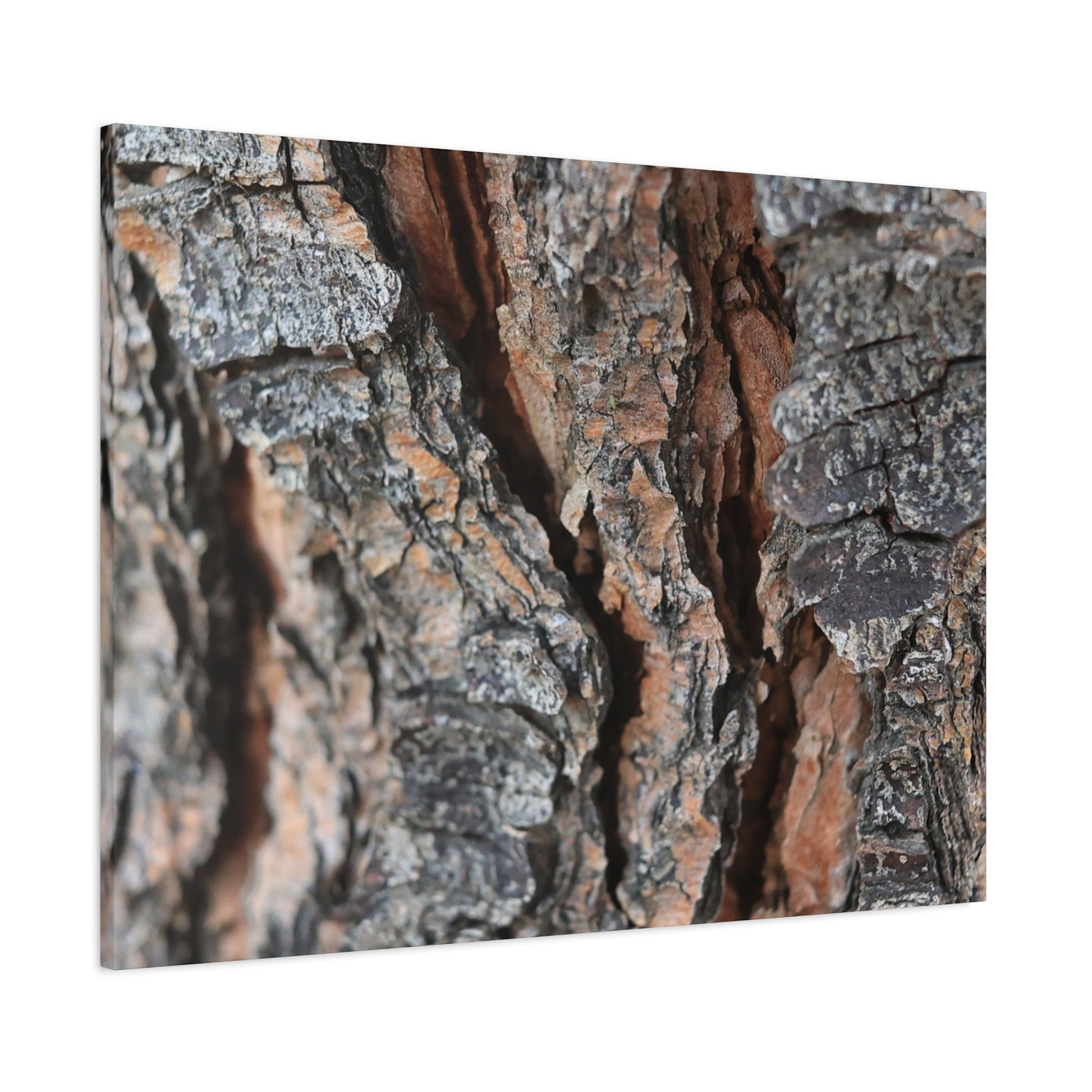 Rough Whispers - Unique Frameless Canvas Wall Art - Art By Earth