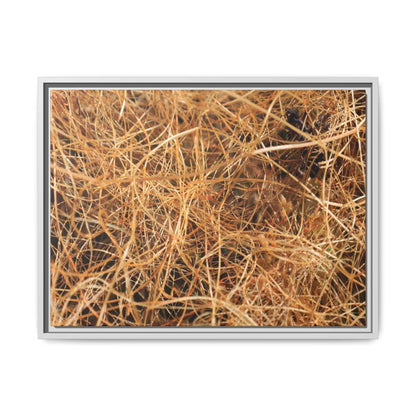 Dried Grass - Unique Stretched Canvas Wall Art - Art By Earth