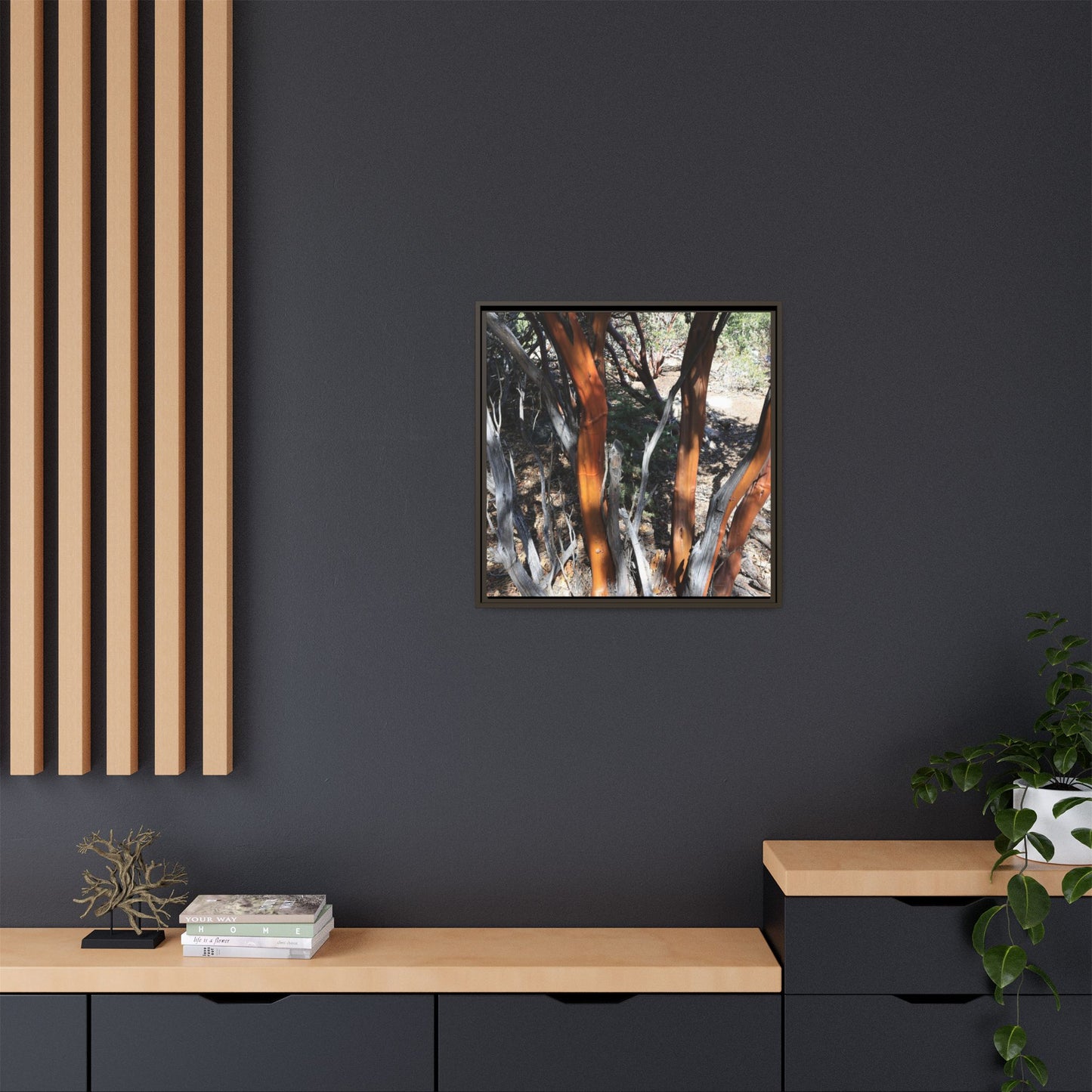 Eucalyptus Grove - Unique Stretched Canvas Wall Art