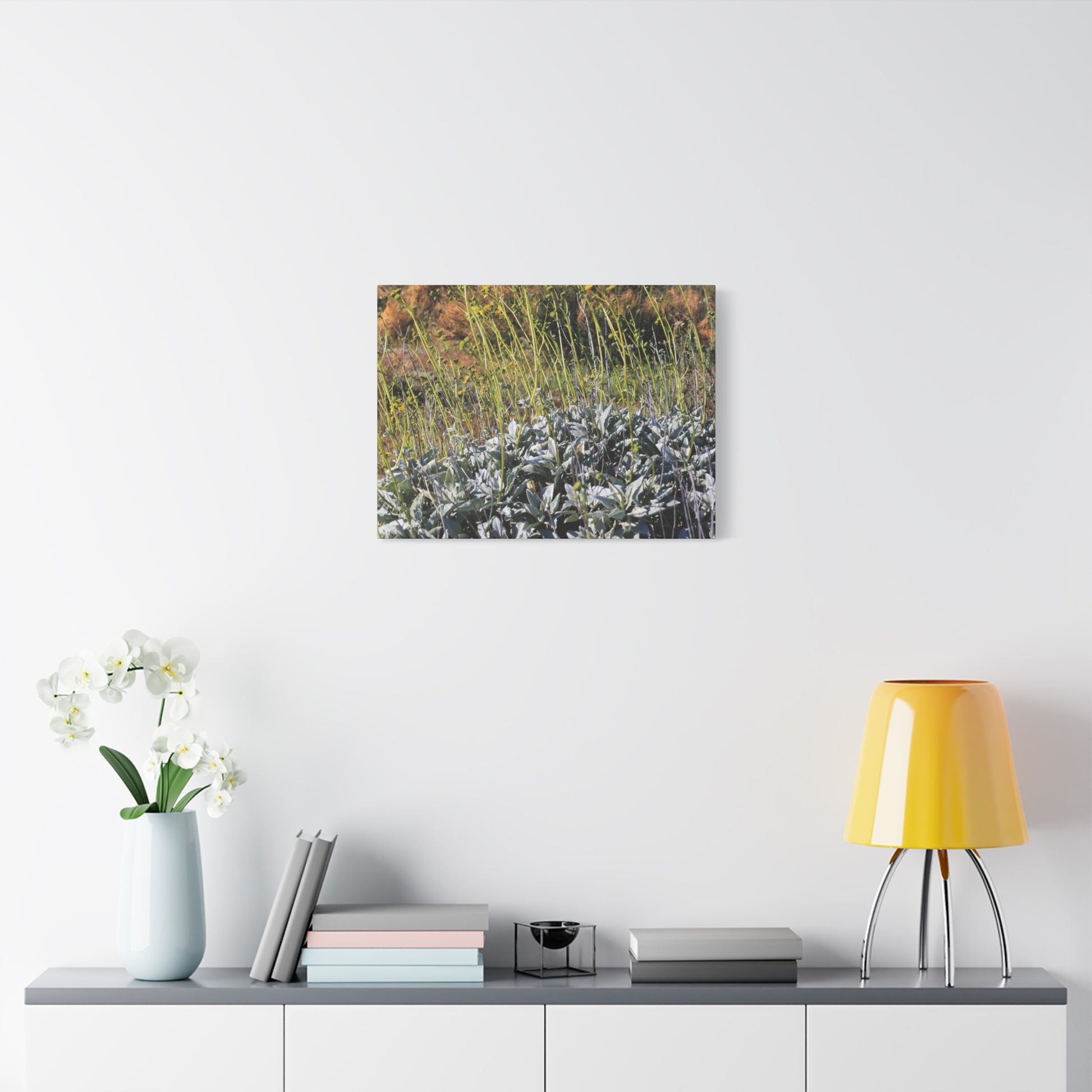 Desert Wildflowers in Bloom - Unique Frameless Canvas Wall Art - Art By Earth