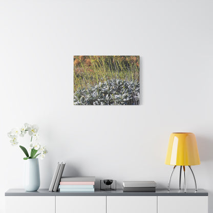 Desert Wildflowers in Bloom - Unique Frameless Canvas Wall Art - Art By Earth