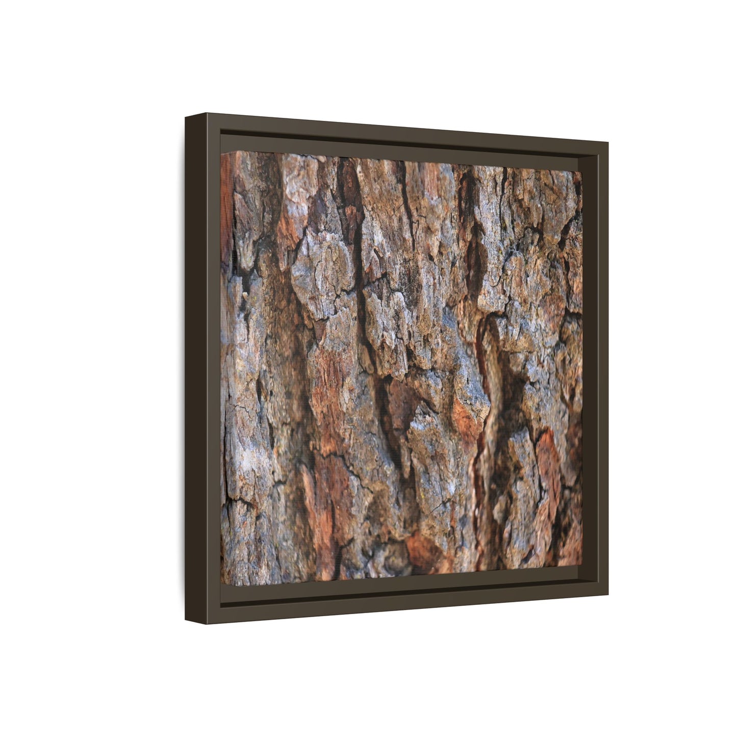 Craggy Textures - Unique Stretched Canvas Wall Art - Art By Earth
