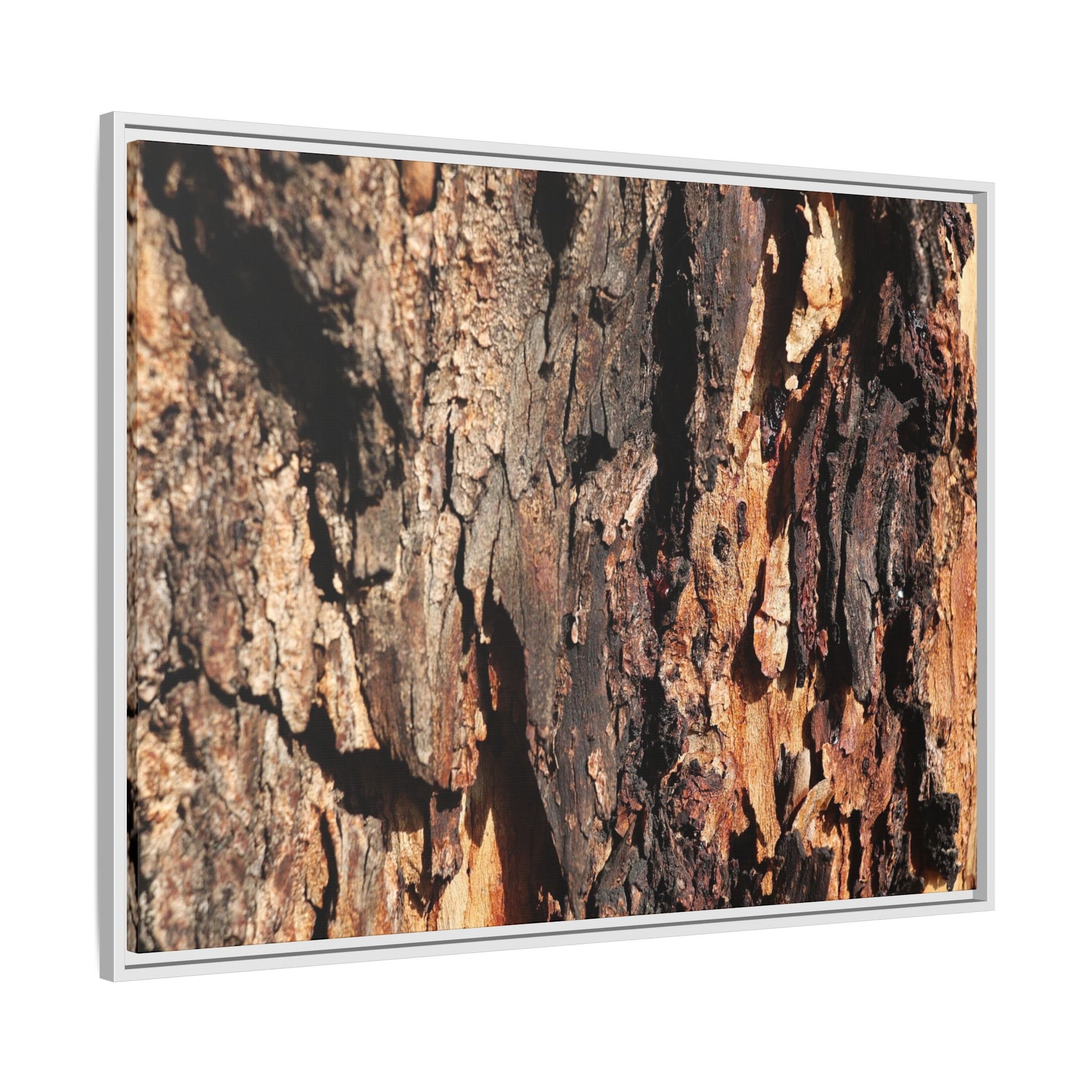 Rugged Beauty - Unique Stretched Canvas Wall Art - Art By Earth