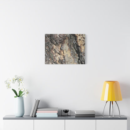 Tree Bark Symphony - Unique Frameless Canvas Wall Art - Art By Earth