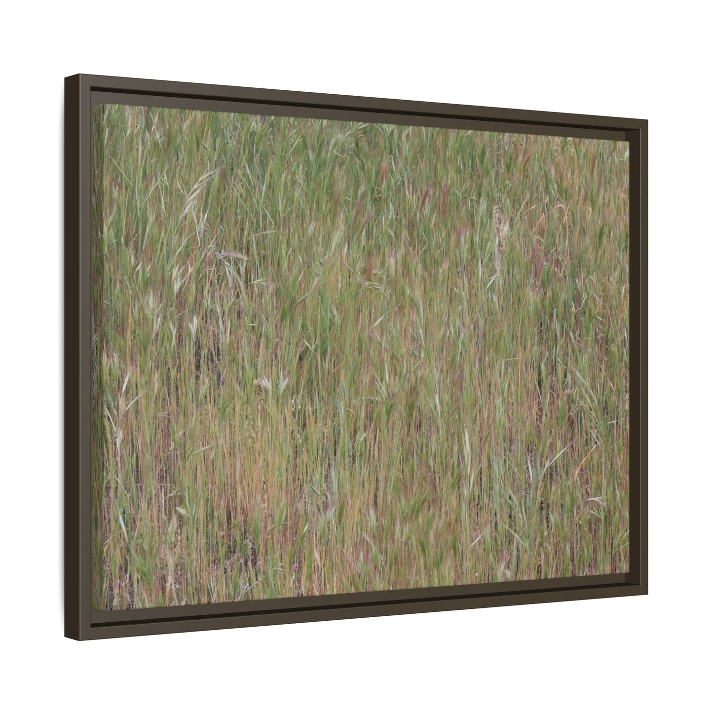 Field of Dreams - Unique Stretched Canvas Wall Art - Art By Earth