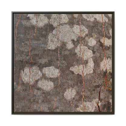 Lichen's Legacy - Unique Stretched Canvas Wall Art - Art By Earth