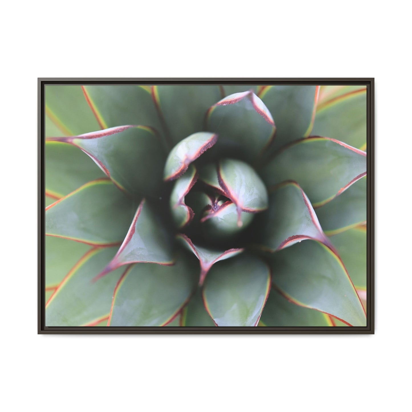 Spiky Elegance - Unique Stretched Canvas Wall Art - Art By Earth