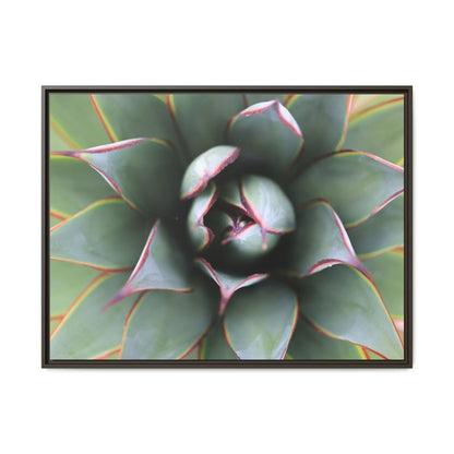 Spiky Elegance - Unique Stretched Canvas Wall Art - Art By Earth