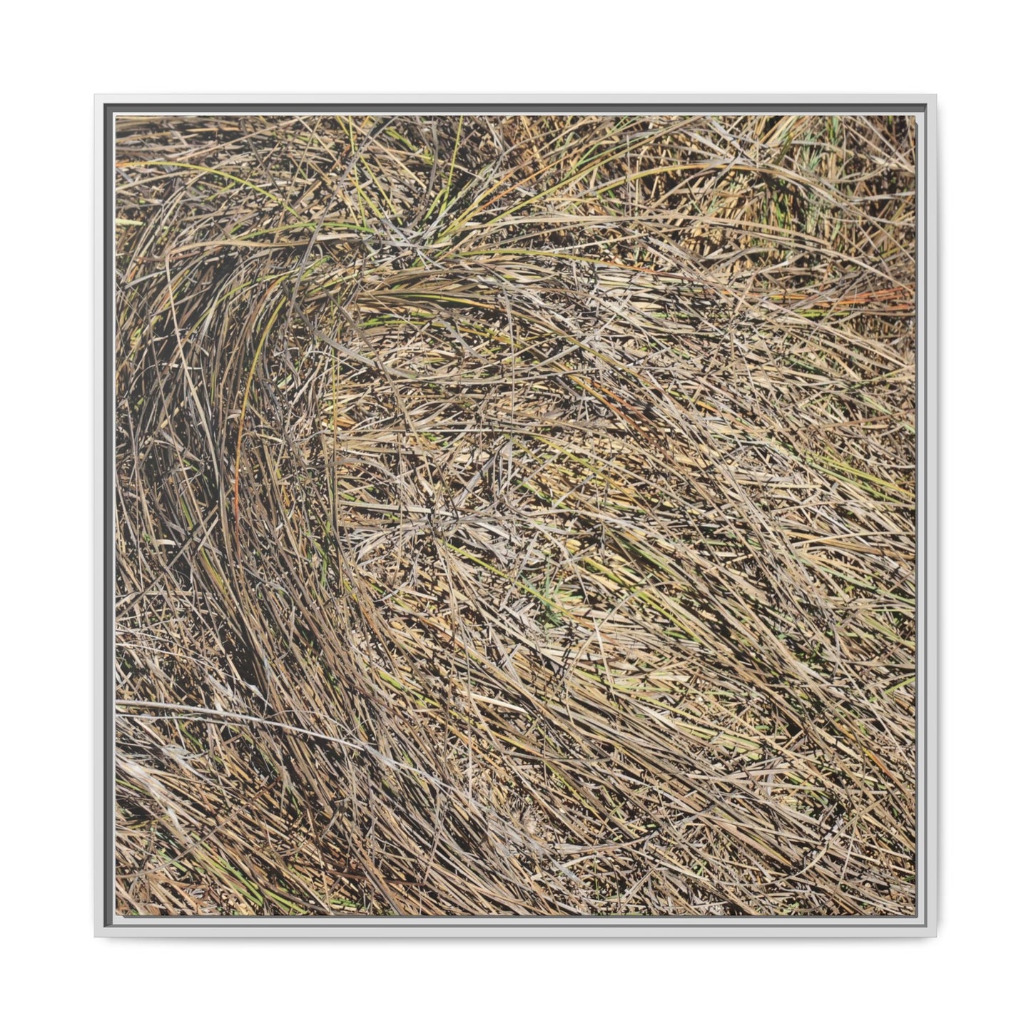 Tangled Grass Symphony - Unique Stretched Canvas Wall Art - Art By Earth