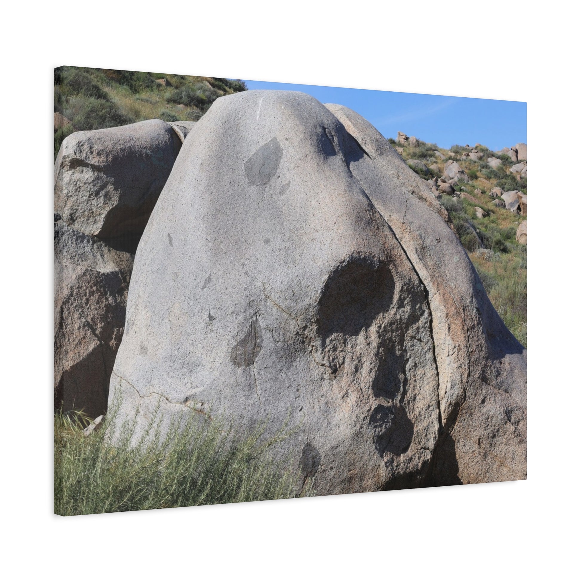 Skull Rock - Unique Frameless Canvas Wall Art - Art By Earth