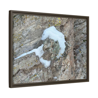 Lichen's Embrace - Unique Stretched Canvas Wall Art