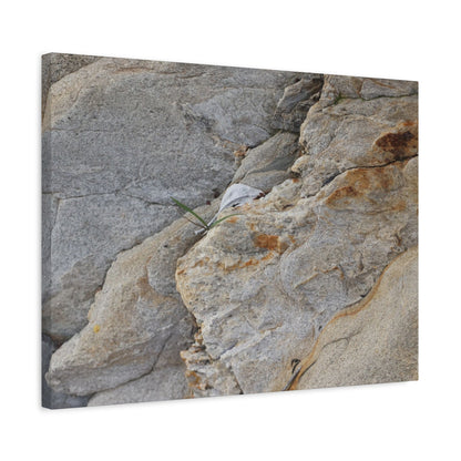 Fractal Earth - Unique Frameless Canvas Wall Art - Art By Earth