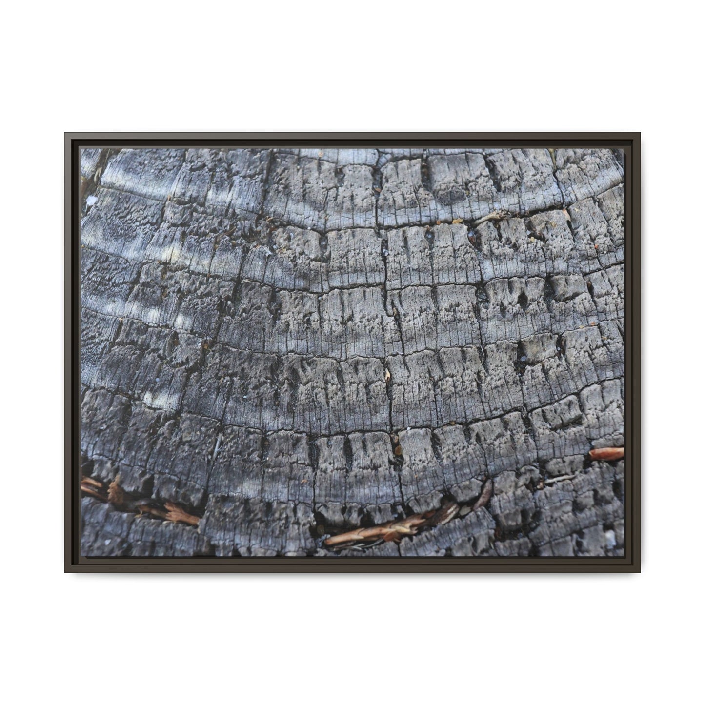 Charred Memories - Unique Stretched Canvas Wall Art - Art By Earth