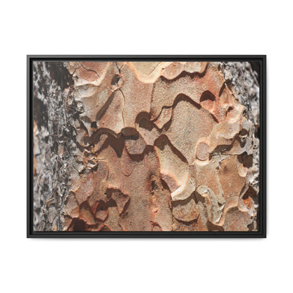 Rust and Stone - Unique Stretched Canvas Wall Art - Art By Earth
