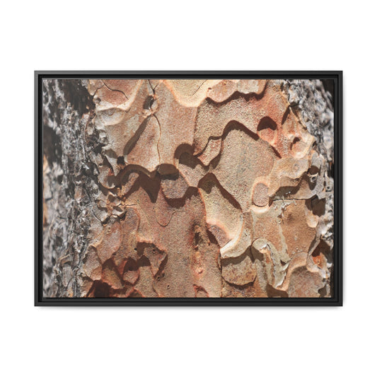 Rust and Stone - Unique Stretched Canvas Wall Art - Art By Earth