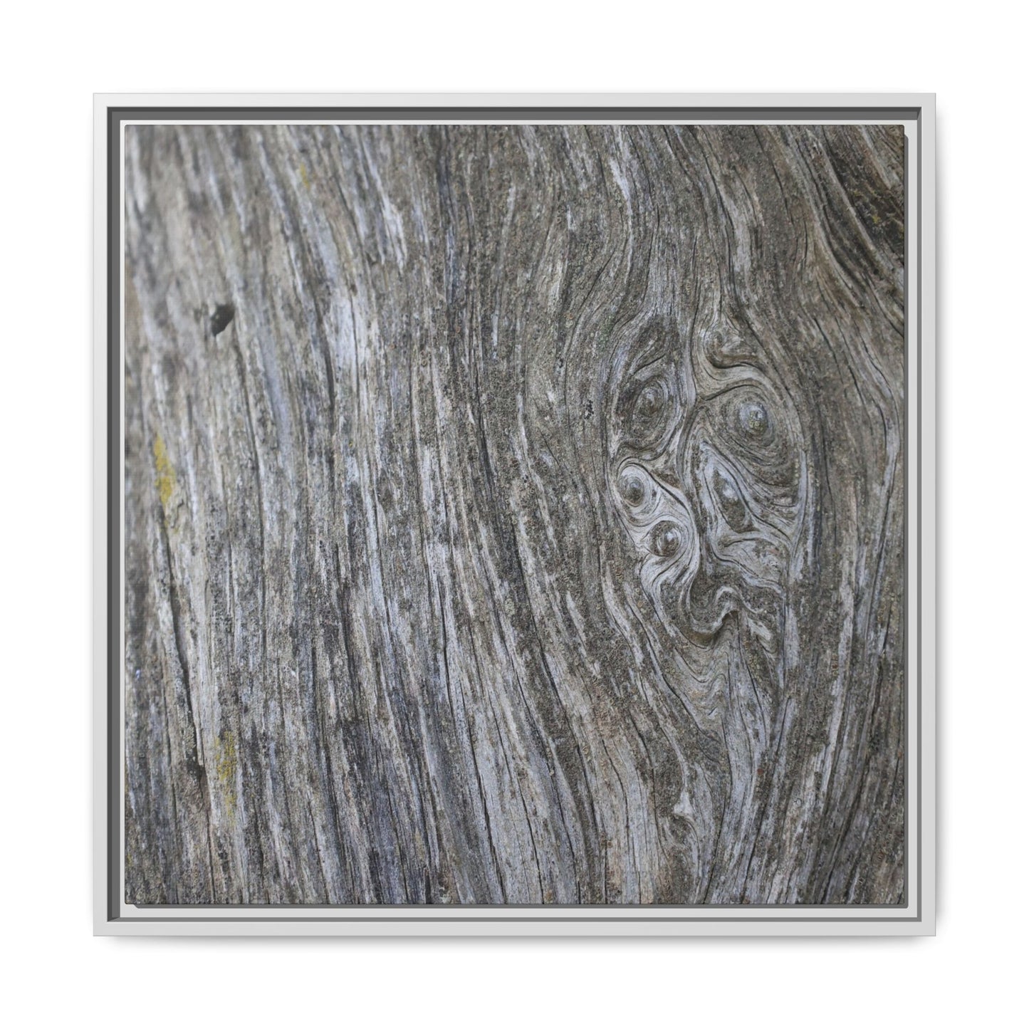 Eternal Knots - Unique Stretched Canvas Wall Art - Art By Earth