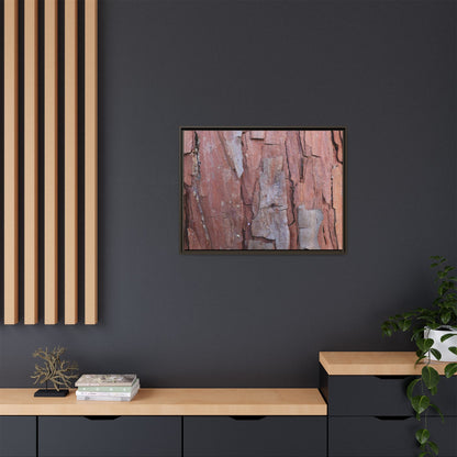Peeling Bark - Unique Stretched Canvas Wall Art - Art By Earth