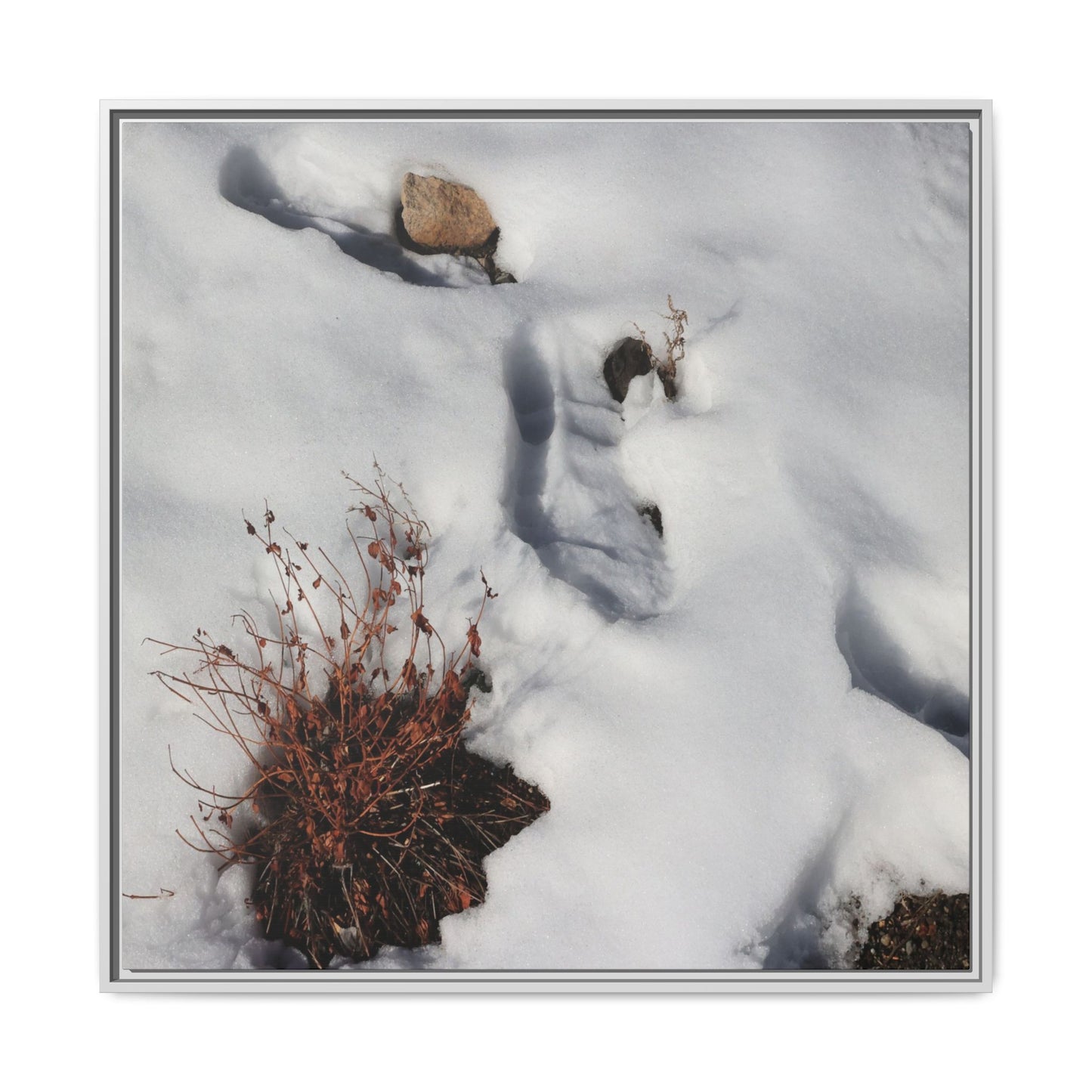 Frostbound Whispers - Unique Stretched Canvas Wall Art