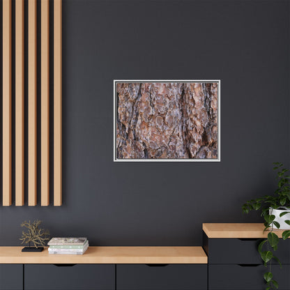 Woody Layers - Unique Stretched Canvas Wall Art - Art By Earth