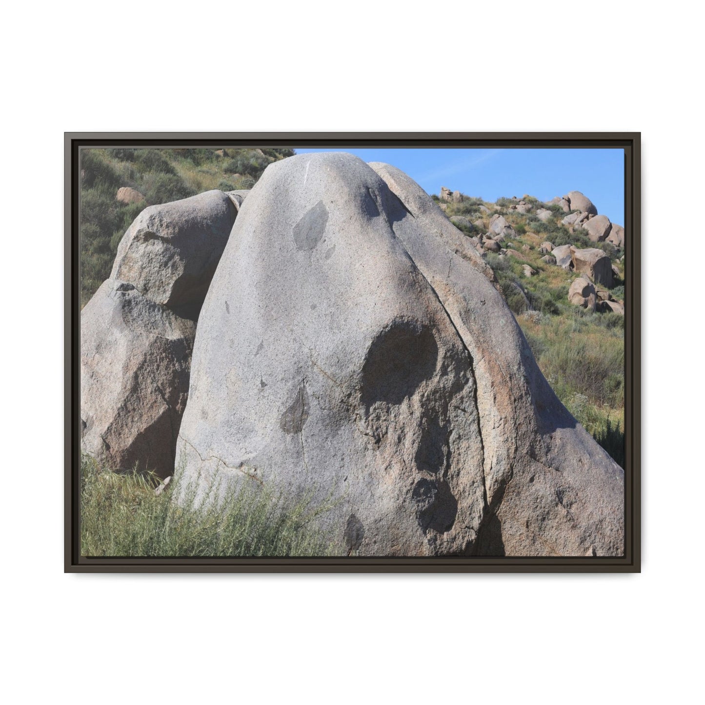 Skull Rock Desert - Unique Stretched Canvas Wall Art - Art By Earth