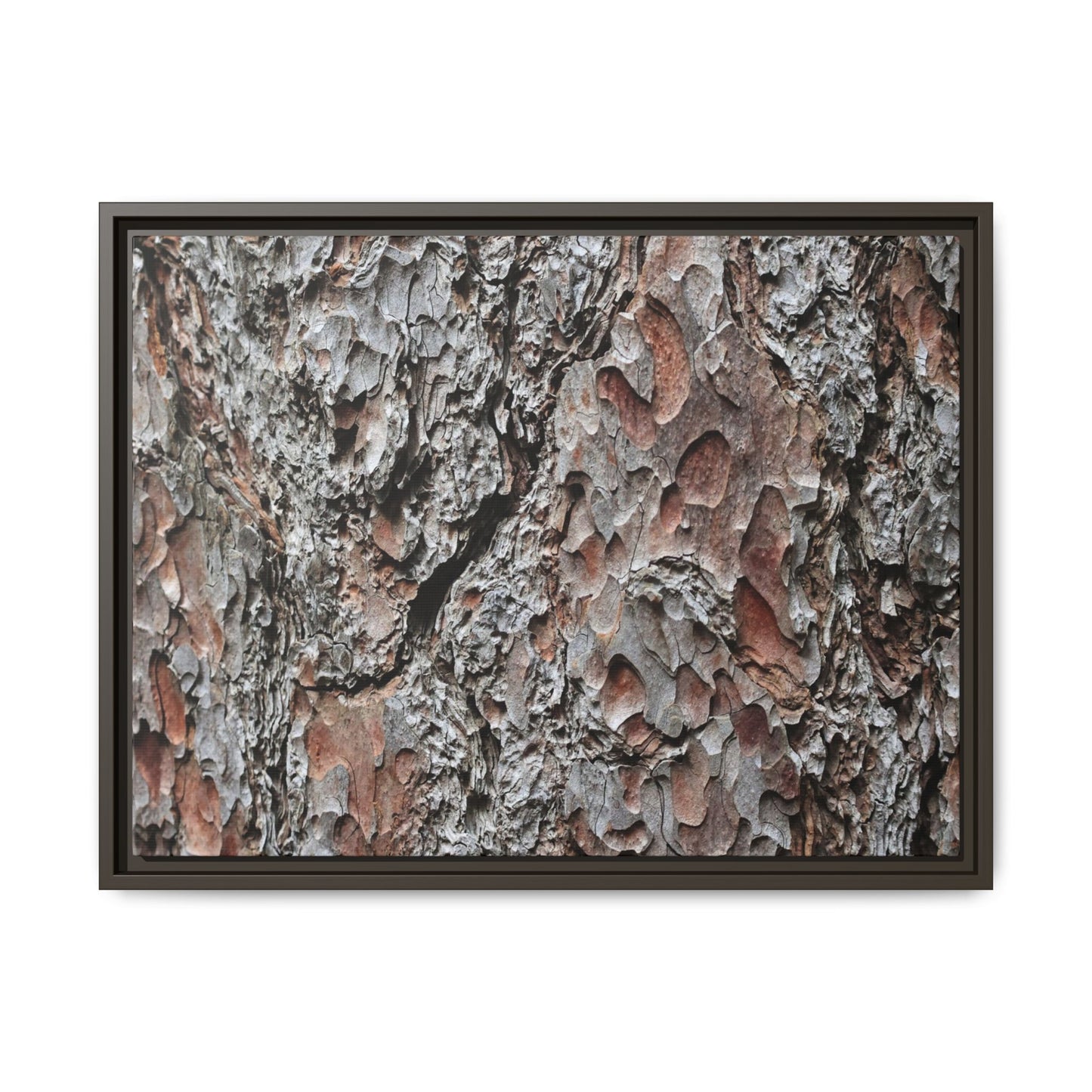 Bark Texture Symphony - Unique Stretched Canvas Wall Art - Art By Earth