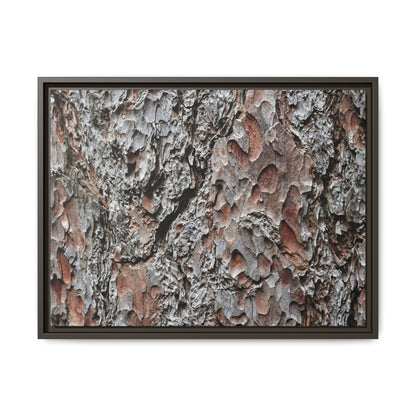 Bark Texture Symphony - Unique Stretched Canvas Wall Art - Art By Earth