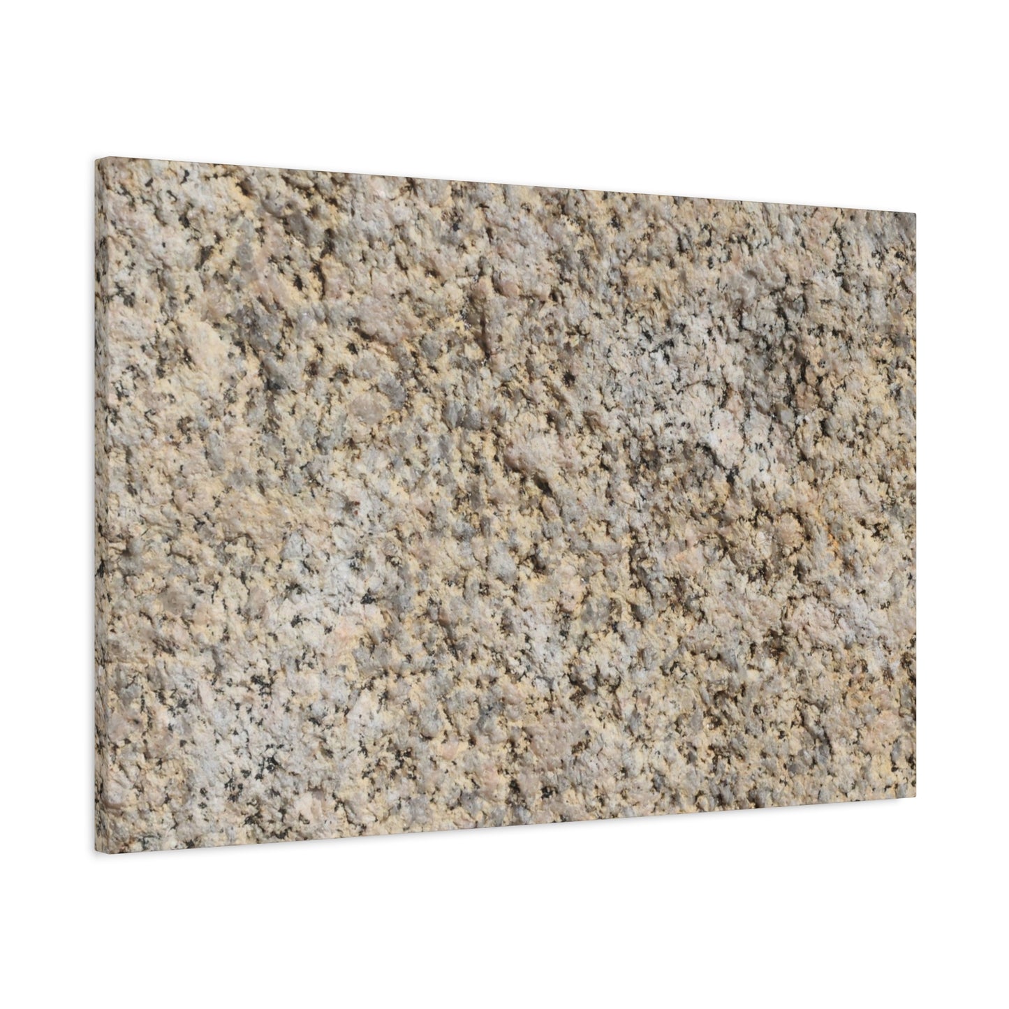 Granular Echoes - Unique Frameless Canvas Wall Art - Art By Earth