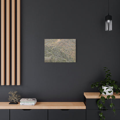 Desert Path Through Sagebrush - Unique Frameless Canvas Wall Art - Art By Earth