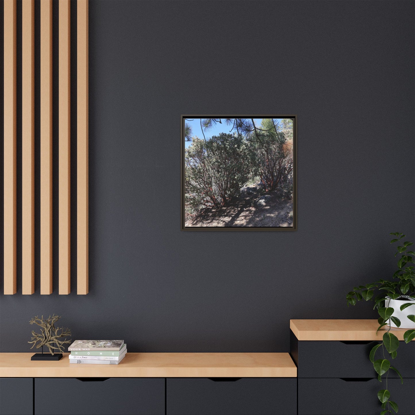 Desert Trail Through Blooming Manzanita - Unique Stretched Canvas Wall Art