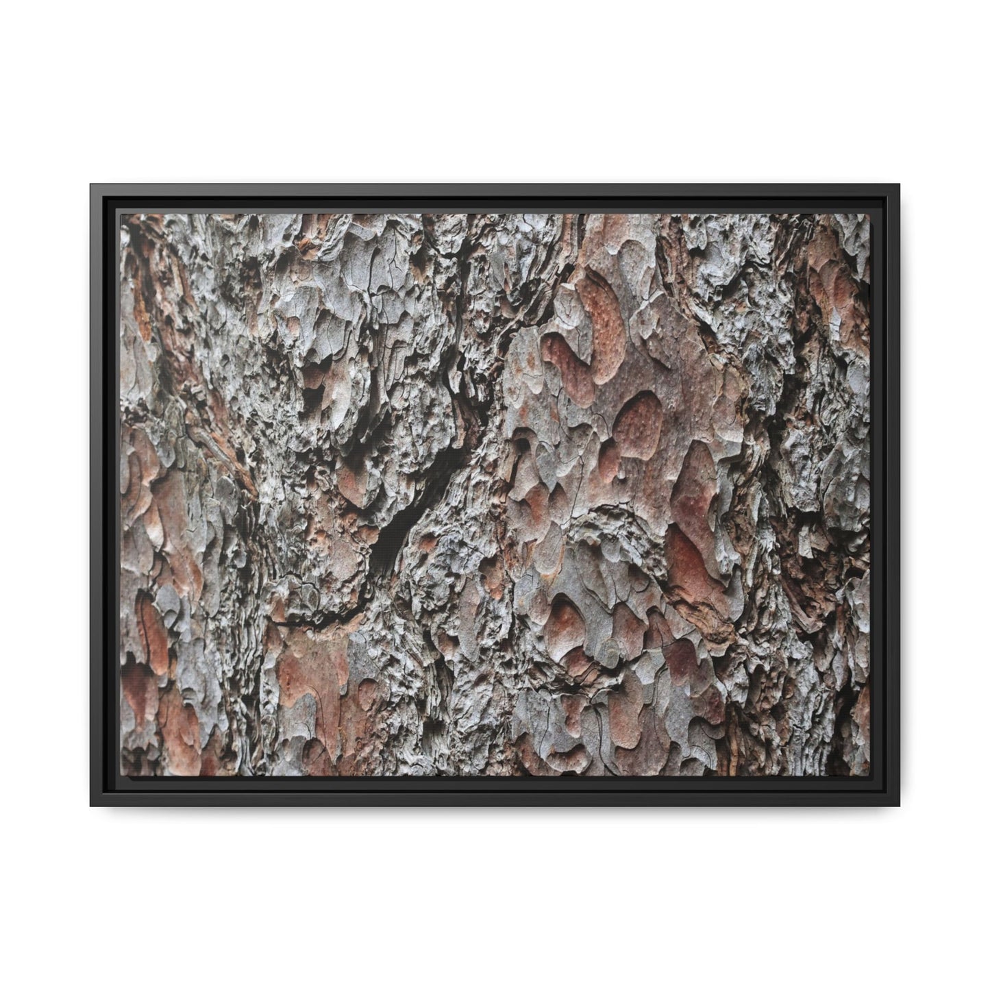 Bark Texture Symphony - Unique Stretched Canvas Wall Art - Art By Earth