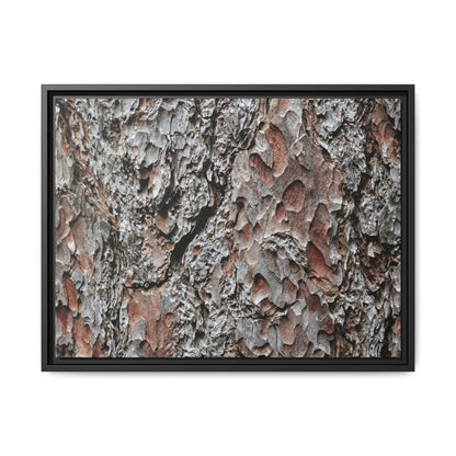 Bark Texture Symphony - Unique Stretched Canvas Wall Art - Art By Earth