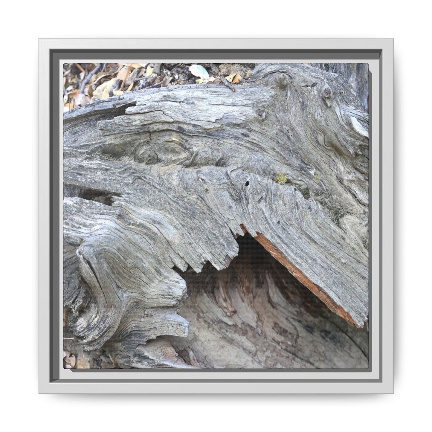 Driftwood Dreams - Unique Stretched Canvas Wall Art - Art By Earth