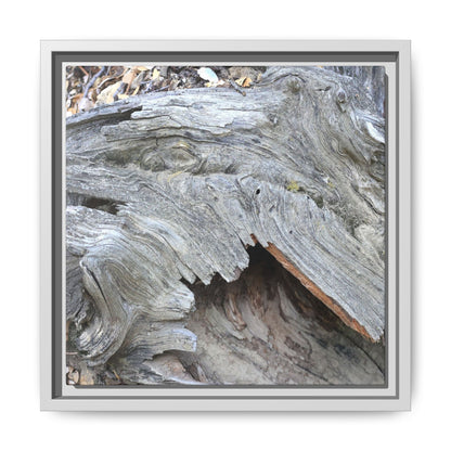 Driftwood Dreams - Unique Stretched Canvas Wall Art - Art By Earth