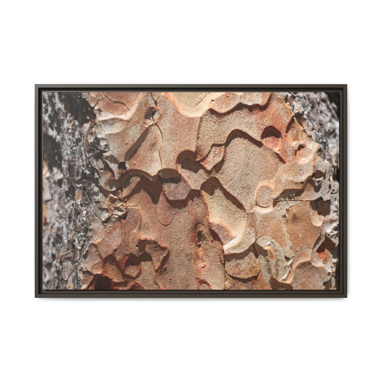 Rust and Stone - Unique Stretched Canvas Wall Art - Art By Earth